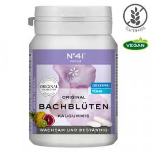 Produktbild von KONZENTRATION Kaugummi nach Dr.Bach