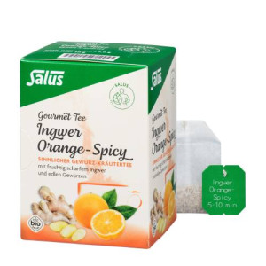 Produktbild von INGWER ORANGE Spicy Tee Salus Filterbeutel